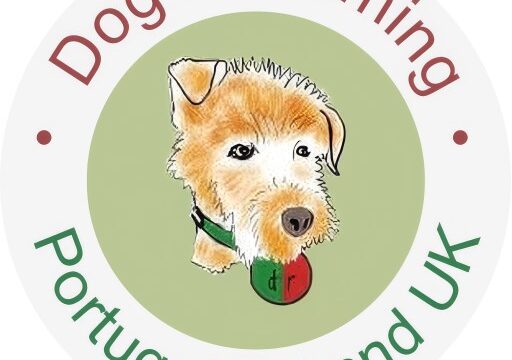 dog-rehoming-logo