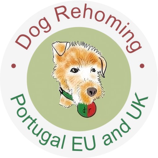 Dog Rehoming Portugal, EU and uk