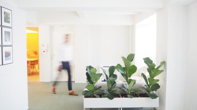 MTConsulting